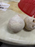 海南椰子小奶椰牛奶香椰三亞特產(chǎn)椰皇孕婦水果當(dāng)季新鮮椰青8個(gè)裝R 4個(gè)【送吸管】 曬單實(shí)拍圖