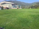 護(hù)坡固土草籽耐寒耐旱邊坡綠化草坪草籽免修剪黑麥草高羊茅籽 護(hù)坡四季青10斤【快速復(fù)綠】 曬單實(shí)拍圖