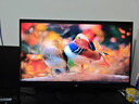 泰坦軍團(tuán)26.5英寸 原廠QD-OLED屏 2K 原生240Hz 專業(yè)電競調(diào)校 10bit 防燒屏技術(shù) 帶背光燈效 顯示器 G27W8S 曬單實(shí)拍圖