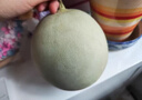 柚公主玉菇甜瓜【JD速運】新鮮水果冰淇淋甜瓜白雪蜜奶香蜜孕婦水果 精選果6枚普通裝（單果3斤左右） 曬單實拍圖