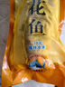 南美豹新鮮黃花魚大黃魚深海速凍國產(chǎn)東海大黃花魚禮盒生鮮魚類海鮮水 【嘗鮮裝】1條裝 1斤左右/條 曬單實(shí)拍圖