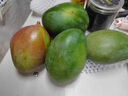 沁煦【嚴選】正宗四川攀枝花凱特芒果大青皮芒果當季新鮮水果禮盒裝 5斤【嚴選大果禮盒裝】 單果500-700g 曬單實(shí)拍圖