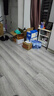 漫德萊趕海工具趕海套裝鏟子挖土種花沙灘挖沙玩具園藝工具五件套 曬單實(shí)拍圖