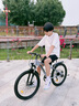 飛鴿青少年自行車6-12-18歲男女學(xué)生中大兒童輕便山地車銀24寸變速輻 曬單實拍圖