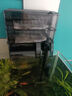 金利佳瀑布式魚(yú)缸過(guò)濾器吸糞三合一魚(yú)馬桶免換水循環(huán)泵靜音干濕分離過(guò)濾 10W 升級款+干濕分離【除油膜+大容量】 曬單實(shí)拍圖