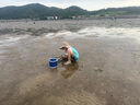 花沃里趕海工具5件套裝 沙灘鏟子挖沙工具鐵鍬鋤頭趕海夾子手套耙子水桶 曬單實拍圖