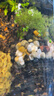 闊庭（KUOTING）溪流缸新款魚缸制氧一體式懶人生態(tài)造景側(cè)濾溪流缸白色【超大號】 曬單實(shí)拍圖