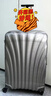 新秀麗（Samsonite）萬(wàn)向輪貝殼箱拉桿箱密碼鎖時(shí)尚行李箱旅行箱單拉桿V22 香檳色 20英寸 曬單實(shí)拍圖