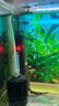 魚缸防爆數(shù)顯石英加熱棒自動恒溫烏龜海缸電熱棒小型水族箱加溫棒 200W 電子石英數(shù)顯（21.5cm長）帶保護(hù)套 曬單實(shí)拍圖