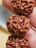 妍韻珠寶20mm滿肉雙龍紋六瓣大金剛菩提子手串文玩佛珠念珠把件男女士手鏈 曬單實(shí)拍圖