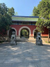 Stockwell生姜洗發(fā)水 何首烏側柏精華護發(fā)洗發(fā)液 控油蓬松去屑洗發(fā)露500ML 曬單實拍圖