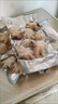 新鮮八爪魚迷你小章魚鮮活冷凍短腿章魚足小八爪 500g /袋 500克(凈重)  鮮凍小八爪【3斤】 曬單實拍圖