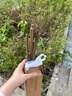驅(qū)斗士艾草蚊香棒 戶外野外驅(qū)蚊艾條釣魚露營蚊香家用室外艾葉熏香 艾草蚊香80支【實(shí)惠裝】 曬單實(shí)拍圖