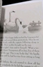 預(yù)售 英文原版 吹小號(hào)的天鵝 The Trumpet of the Swan E.B.懷特三部曲之一 曬單實(shí)拍圖