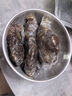 1號會(huì )員店M3澳洲安格斯牛腱子(不含腱子芯)  低脂健身生鮮牛肉 凈含量2斤 曬單實(shí)拍圖