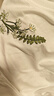 安初夏美式高街花卉刺繡短袖t恤男夏季寬松小眾設(shè)計(jì)感oversize情侶上衣 白色【重磅刺繡花卉重工】 L 建議105斤--120斤關(guān)注先發(fā) 曬單實(shí)拍圖