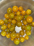 夏日陽(yáng)光小番茄黃色迷戀圣女果即食水果小柿子現摘現發(fā)減肥早餐 4斤 曬單實(shí)拍圖