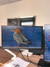 戴爾（DELL）E2225HSM 21.5英寸顯示器VA面板 升降旋轉(zhuǎn)1080P 內(nèi)置音響 電腦辦公顯示屏 E2225HS升級版支持掛壁 E2225HSM（VGA+HDMI+DP）帶音響 曬單實(shí)拍圖