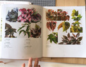 觀葉植物圖鑒：500種室內(nèi)綠植養(yǎng)護(hù)指南 曬單實(shí)拍圖