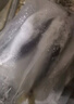 時寐東山島海捕巴浪魚 深海海鮮 行走的氨基酸 東山島直發(fā) 端午食材 2斤6-10條 曬單實拍圖