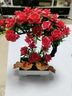 懷音仿真花假花綠植小盆栽迎客松玫瑰客廳玄關(guān)裝飾道具花擺件假花批發(fā) 玫瑰 大紅 帶一盆二鳥 曬單實(shí)拍圖
