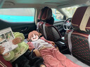 大語(yǔ)大眾朗逸車(chē)載床墊汽車(chē)后排睡墊睡覺(jué)神器plus專(zhuān)用車(chē)內用品25款適用 【灰色-有儲物袋】五件套 【官方原配】23-25款朗逸 曬單實(shí)拍圖