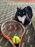 Wilson威爾勝法網(wǎng)聯(lián)名男女同款進(jìn)階網(wǎng)球拍ROLAND GARROS TEAM 102 曬單實(shí)拍圖