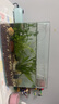 SQG魚缸氧氣泵增氧泵小型充氧泵靜音可調(diào)節(jié)5W雙孔泵+氣泡球 曬單實拍圖