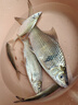 沃鼎魚竿包輕便型硬殼漁具包多功能防水手提釣魚專用背包大容量魚竿包 黑色硬殼包14×130cm 曬單實拍圖