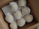 京鮮生 河北青翠蜜梨 凈重4.5斤 單果250g+ 青皇冠梨 生鮮水果 源頭直發(fā) 曬單實拍圖