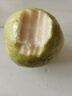 傾小野奶油白心軟芭樂（順豐直達）白番石榴雞屎果軟糯香甜5斤新鮮水果 奶油芭樂大果5斤（8-12個） 曬單實拍圖