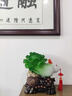 聚善緣百財聚來白菜擺件招財客廳玄關(guān)酒柜收銀臺裝飾工藝品店鋪開業(yè)禮物 YX17寸禮盒款翠玉色41*21*41cm 曬單實拍圖