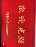 柏能絲圈歡迎光臨地墊入戶門紅地毯腳墊進戶門口迎賓地墊60*90*1.6cm 曬單實拍圖