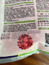 京農(nóng)研玉米種子336甜糯玉米黑白鮮食水果玉米農(nóng)科院大田打糧玉米種籽孑 農(nóng)科糯336甜加糯玉米 約600粒 曬單實(shí)拍圖