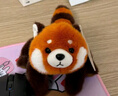 蝸牛卷非常寶貝香香三姿動(dòng)物公仔毛絨玩具熊貓浣熊樹懶哈士奇掌中寶玩偶 香香趴三姿浣熊YL 正版18厘米帶香氣 曬單實(shí)拍圖