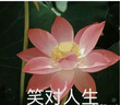 7家優(yōu)品 微喇牛仔褲男士夏季新款美式復(fù)古高街休閑彎刀直筒修身長褲子男 HC-2036-煙灰色 XL 曬單實(shí)拍圖