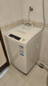 海爾（Haier）波輪洗衣機(jī)小型6.5公斤波輪全自動(dòng)家用租房小型洗衣機(jī)學(xué)生機(jī)兒童嬰兒內(nèi)衣洗衣機(jī)家電國(guó)家補(bǔ)貼20% 6.5公斤全自動(dòng)小神童 M019 曬單實(shí)拍圖