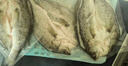 鮮京采三去海鱸魚3斤/3條 生鮮魚類 白蕉鱸魚地標(biāo) 無冰凈重3斤 源頭直發(fā) 曬單實(shí)拍圖