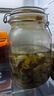 隴漿源漿水酸菜天水甘肅特產(chǎn)芹菜蒲公英苣野菜 蒲公英芹菜包菜600g*5袋 曬單實(shí)拍圖