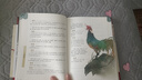 精裝硬殼】山海經(jīng)原著正版全本全集無刪減初中彩繪版文言文全譯白話文版圖解山海經(jīng)全解成人珍藏版全18卷觀山海異獸錄青少年版 【精裝硬殼】山海經(jīng) 曬單實(shí)拍圖