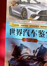 世界汽車鑒賞（珍藏版）（世界文化鑒賞系列） 曬單實(shí)拍圖