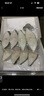 京覓冷凍格陵蘭比目魚凈重800g 6-8塊甄選中段 生鮮 魚類 鰈魚 曬單實拍圖