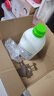 CHANTECLAIR大公雞管家 馬賽洗衣液 液態(tài)洗衣皂(白苔香)  1500ml 意大利進口 曬單實拍圖