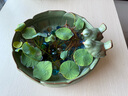 裕軒堂銅錢(qián)草花盆水仙盆睡蓮碗蓮無(wú)孔金錢(qián)陶瓷水養水培多肉小鳥(niǎo)拼盤(pán)家用 小鳥(niǎo)K色水培(大號） 大 曬單實(shí)拍圖