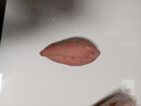 佳農(nóng)寶菜山東榴蓮蜜薯瑪莎莉紅薯凈重4.5斤單果約80g+源頭直發(fā) 曬單實拍圖