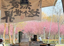 暴熊防抖拇指運(yùn)動(dòng)相機(jī)胸前固定vlog隨身拍攝騎行記錄儀神器高清攝像機(jī) 時(shí)尚白【長續(xù)航版】高清錄像＋穩(wěn)定防抖＋廣角拍攝 曬單實(shí)拍圖