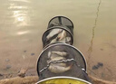 神翁野釣專用釣魚小藥添加劑水庫專用鯽魚鯉魚草魚青魚羅非鰱鳙誘魚劑 通誘+送藥酒（淡水魚通用套裝) 曬單實拍圖