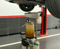 殼牌（Shell）保養(yǎng)年卡兩次 含機(jī)油機(jī)濾工時都市光影5W-30 SP 4L 曬單實(shí)拍圖
