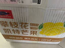 京鮮生 攀枝花凱特芒果 凈重4.5斤 單果600g 生鮮水果 源頭直發(fā) 曬單實拍圖
