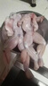 鮮馳 牛蛙鮮活新鮮冷凍特大半成品去皮去內(nèi)臟去頭蛙肉牛蛙腿田蛙批發(fā) 無(wú)冰大號(hào)牛蛙【2斤】?jī)糁?曬單實(shí)拍圖